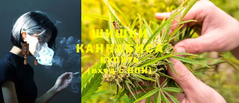 Бошки Шишки OG Kush  гидра ссылки  Алзамай 